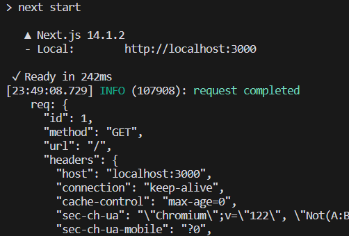 Next.js server output with pretty logs
